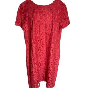 NWT Ann Taylor Dress size 12, lace, lined, w/short sleeves, back zip, new w/tags